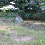 施工前(1) かなり大きくなり歩道にも出てしまっています