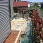 施工中（5） 生垣