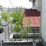 施工後（9） 玄関はシンボルツリーのシマトネリコを植えました