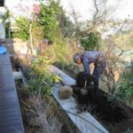 施工中（5） 植栽