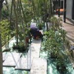 施工中（13） 下草植栽