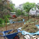 施工中（1） 伐根