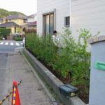 施工中（9） 生垣