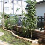 施工後（2） ハナミズキ、ミモザ、オリーブ、ブルーベリーを植栽しました。