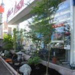 施工中（7） 植栽