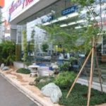 施工後（1） 植栽は、モミジを中心にして、下草は玉リュー、トクサなどでまとめています。