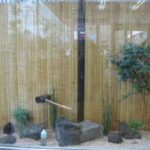 施工後（8） ショールーム脇の坪庭