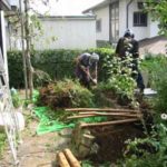 施工中（1） 伐根