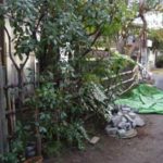 施工中（1） 徹去