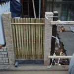 施工中（3） 垣根