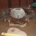 施工中（6） 蹲組み