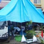 施工中（8） 植栽