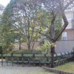 施工後（1） 金閣寺垣