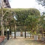 施工後（2） 四つ目垣