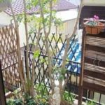 施工前（6） コーナー部　奥行き１メートルしかありません