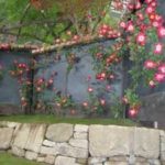 施工後(6) 黒漆喰塀とカクテル