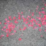 施工後(9) 丸炭の流れ