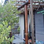 施工後（3） 藤棚