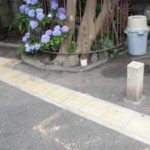 施工前（1） 椿の根本までアスファルトが敷かれています