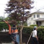 施工中（4） 黒土客土