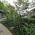 施工後（26） 以前の庭から移植した木々