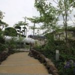 施工後（31） もみじ、かえでが柔らかい雰囲気です