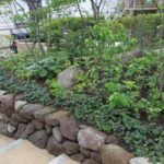 施工後（28） 下草