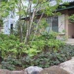 施工後（29） 下草