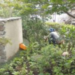 施工中（16） 下草植栽