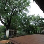 施工後（7） 既存の木々は生かしています