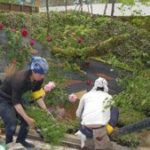 施工中(7) 少しづつ形になってきました。