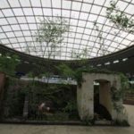 施工後(1) 完成です。