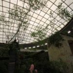 施工後(23) 山掘りの紅葉やエゴが独特の雰囲気をかもし出します。