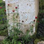 施工後(4) 脇には、アザミが咲いています。