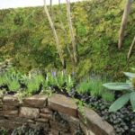 施工後(12) 苔の壁から、花いっぱいのタイムの壁につながります。