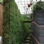 施工後(22) 小道を通って出口につながります。