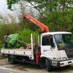 施工中（13） 東北からモミジの運搬