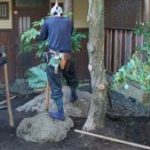 施工中（1） 石組み中