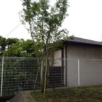 施工後（9） 植木はもみじ一本のみ