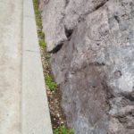 施工後(35) 下草植栽