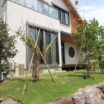 施工後(11) 中高木植栽