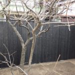 施工中（6）焼杉板塀