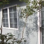 施工後（30） 　 枝の陰影