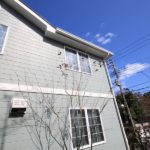 施工後（31）トネリコ