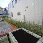 施工後（33） 　 フイリサカキ生垣