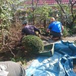 施工中（10）つくばい周り