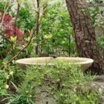 施工後(13)野鳥が水盤に毎日来るようになりました