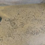 施工中（12）洗い流し