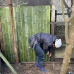 施工中（7）割竹打ち