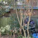 施工中（5）割竹打ち